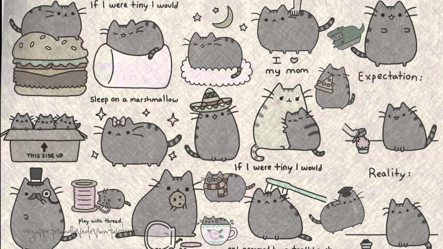 Say Hi To My Little Friend Pusheen! Wallpaper