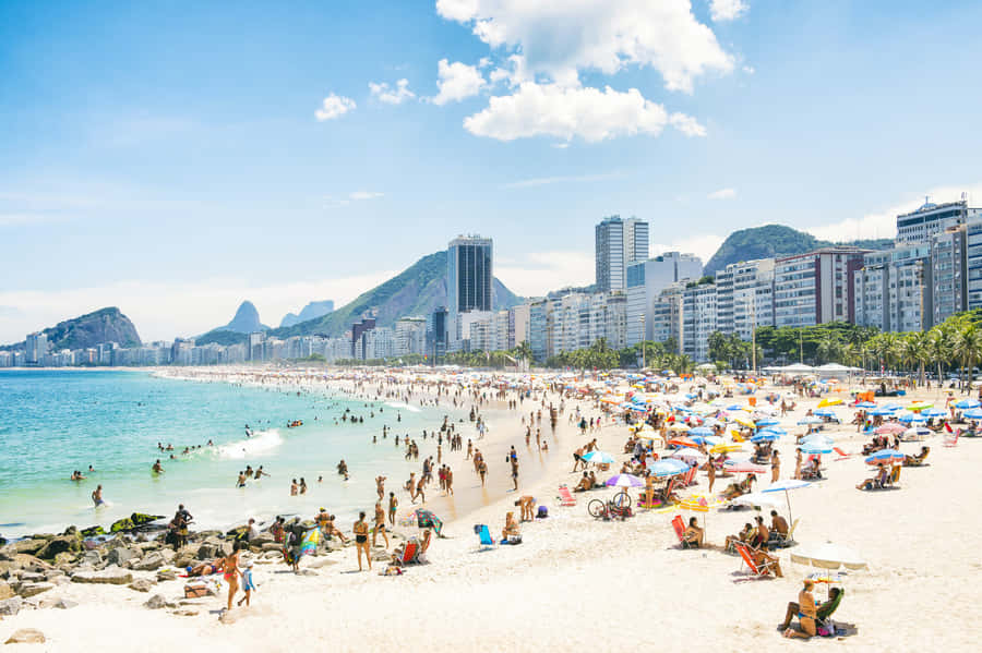 Scenic Brazilian Beach With Golden Sand And Lush Palm Trees Wallpaper