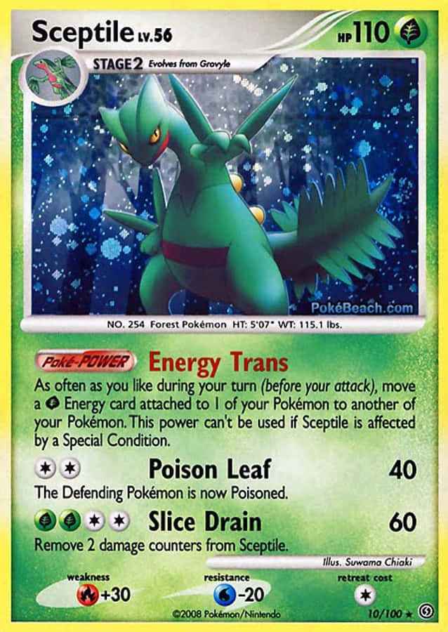 Sceptile Pokemon Card Wallpaper