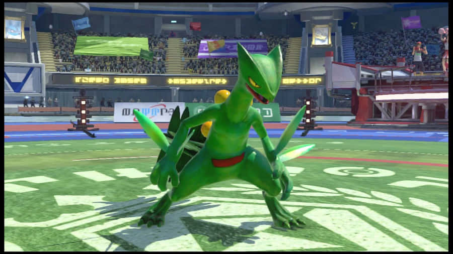 Sceptilein Battle Arena Wallpaper