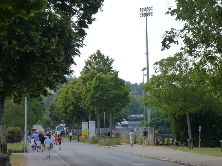 Schaffhausen Park Promenade Walk Wallpaper