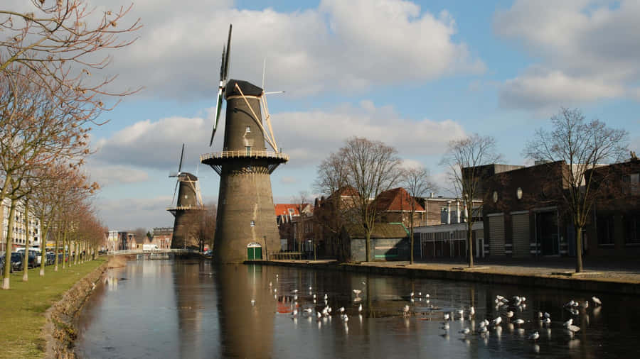 Schiedam Windmills Along Canal Wallpaper