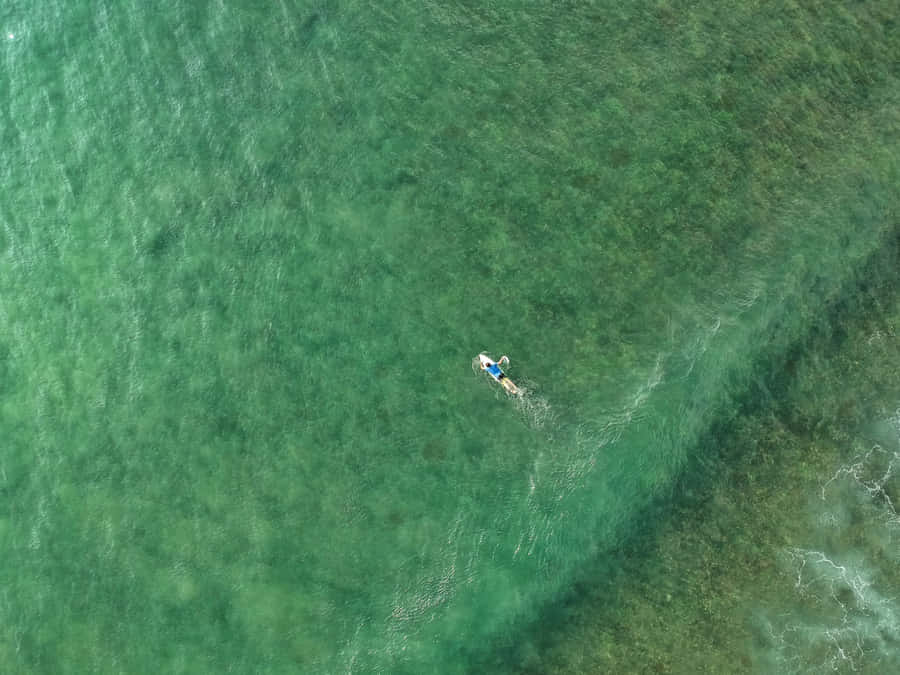 Seafoam Green Abstract Swirls Wallpaper