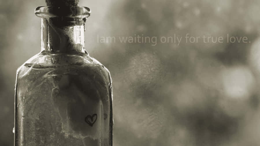Searching For True Love Wallpaper