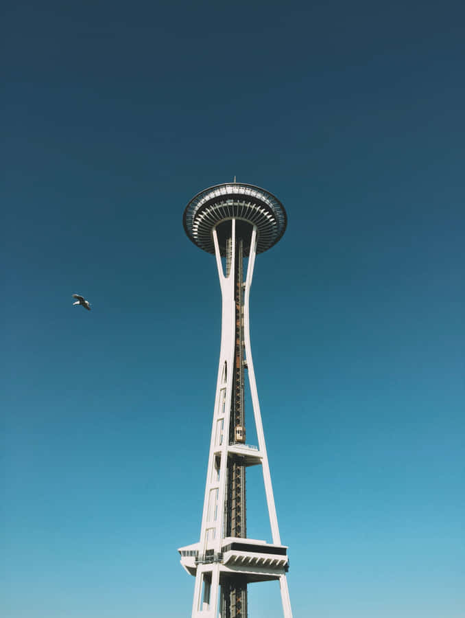 Seattle Space Needle Clear Sky Wallpaper