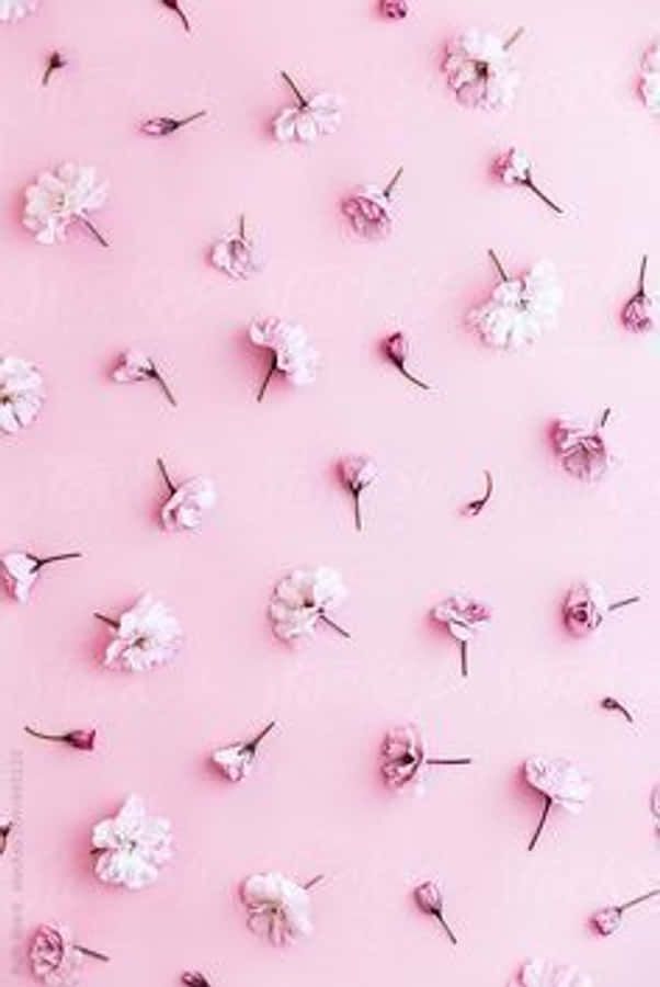 See The Cutest Phone Design Ever! Wallpaper