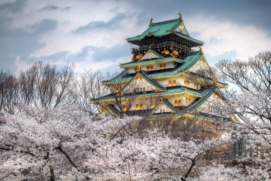 Seigu Castle In Japan Wallpaper