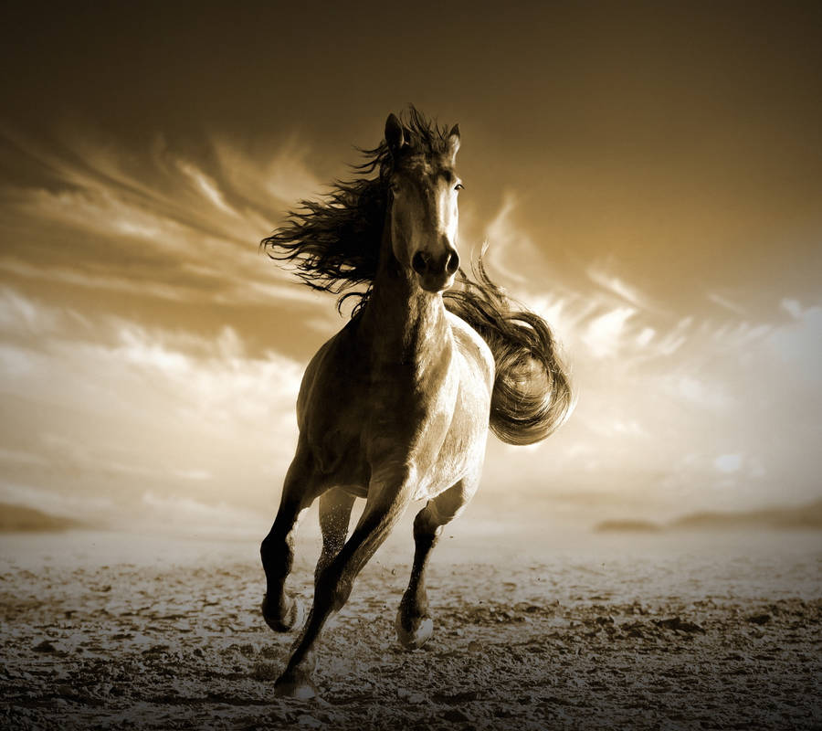 Sepia-toned Running Horse Wallpaper