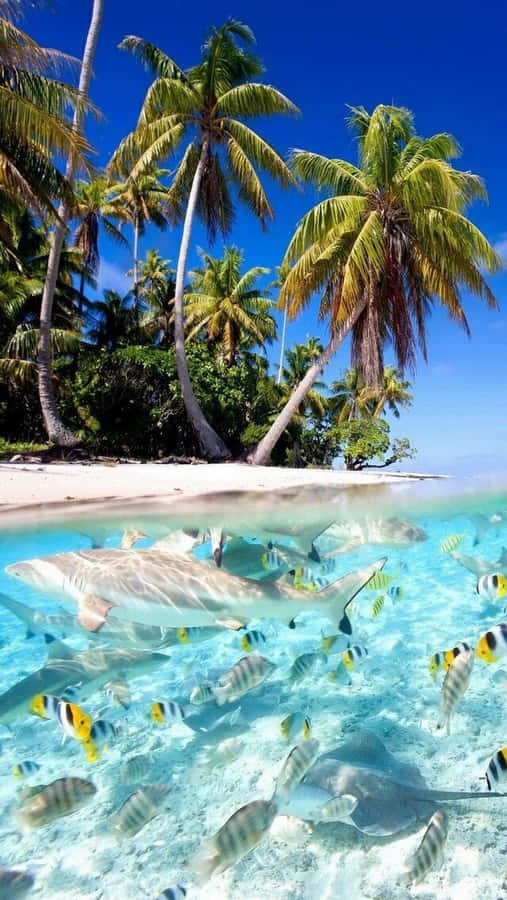 Serene Beach Getaway Wallpaper