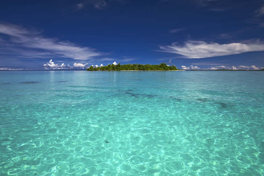 Serene Blue Beach Island Wallpaper