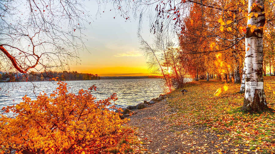 Serene Fall Lake Scenery Wallpaper