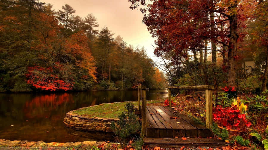 Serene Fall Lake With Golden Leaves Wallpaper