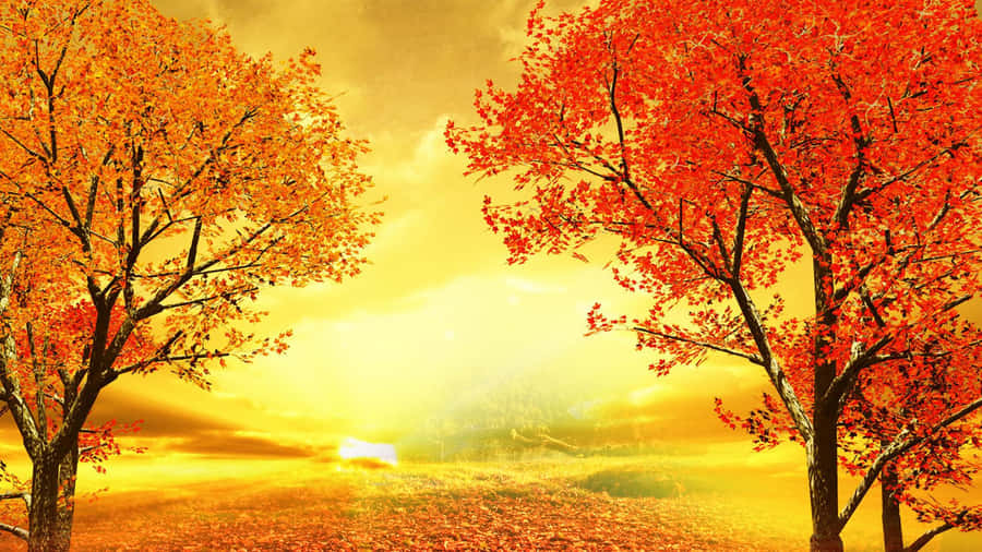 Serene Fall Sunset Landscape Wallpaper