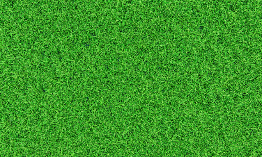 Serene Green Grass Scene Wallpaper