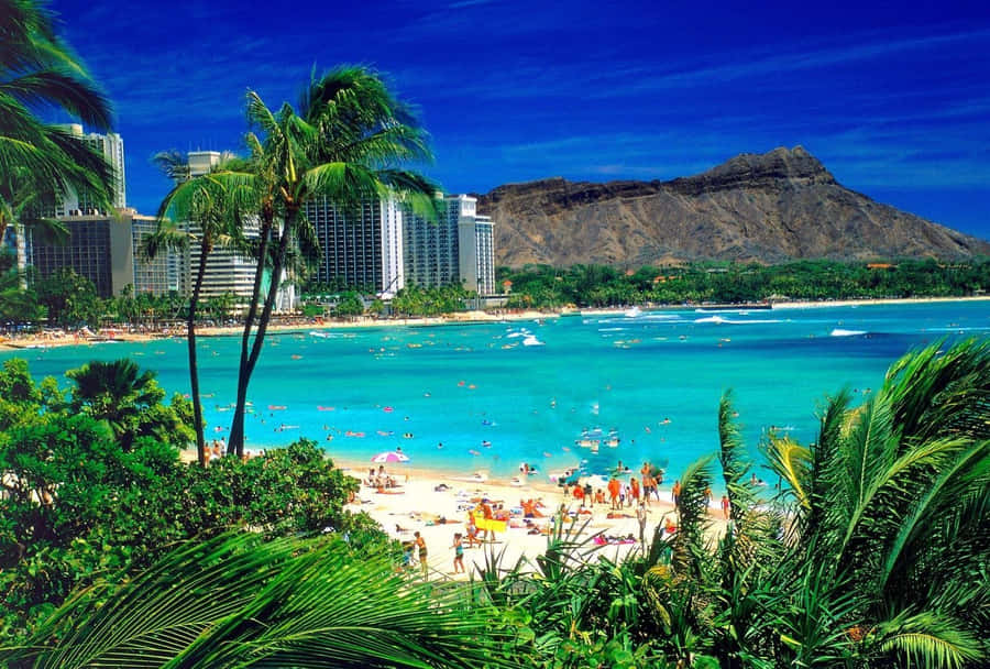 Serene Hawaiian Beach Escape Wallpaper