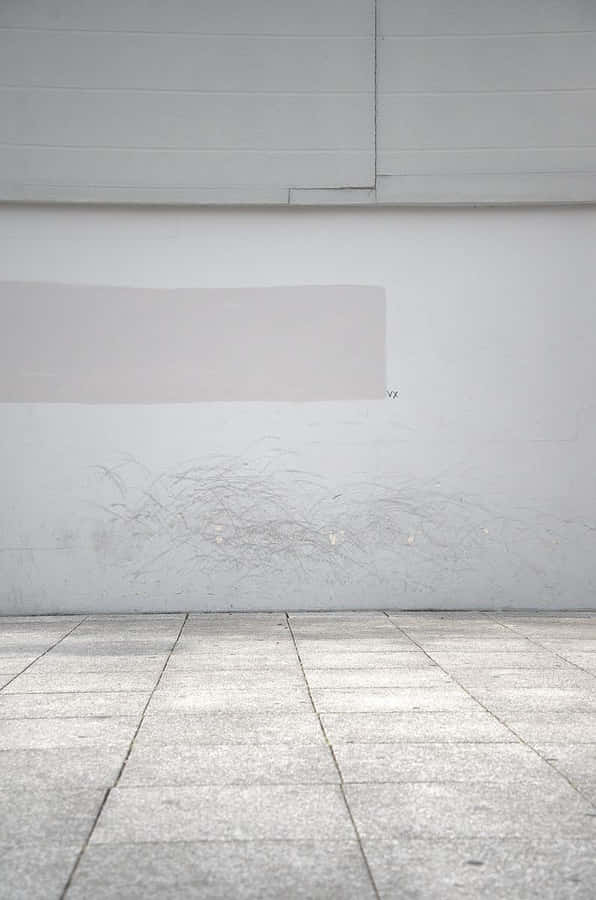 Serene Isolation Wallpaper