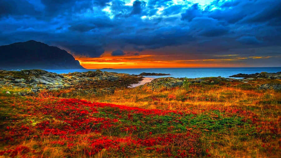 Serene Lakeside Sunset Wallpaper