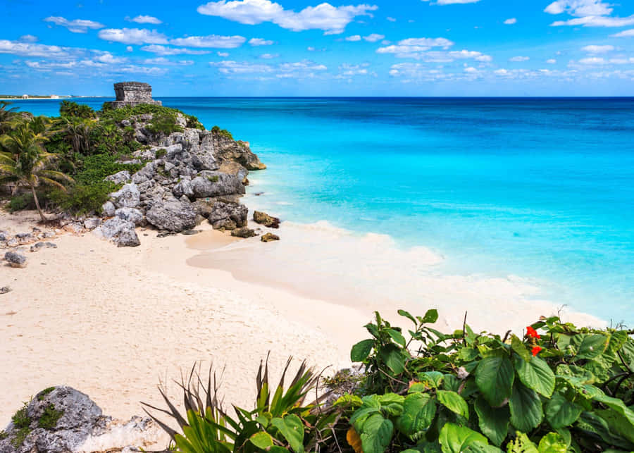 Serene Mexican Beach Paradise Wallpaper