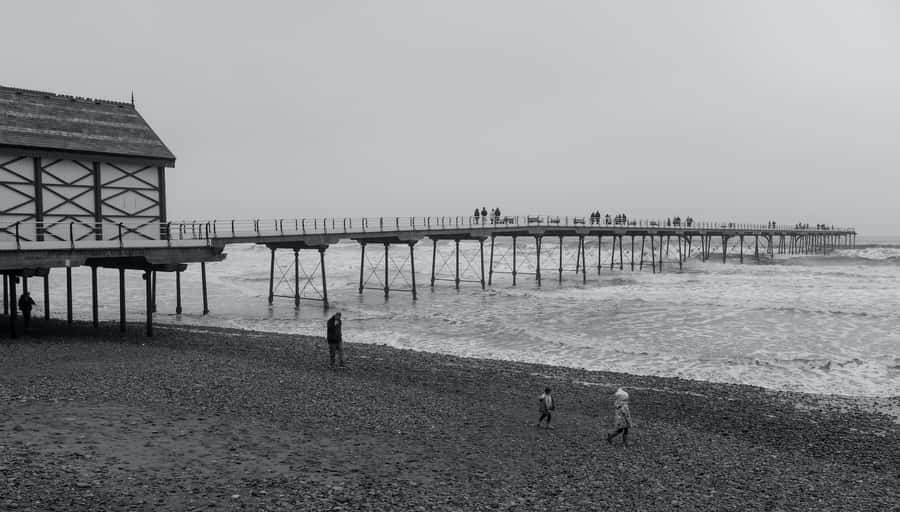 Serene Monochromatic Beach Wallpaper