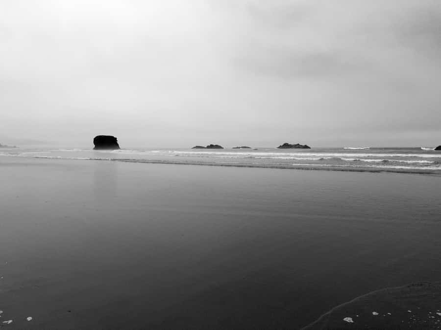 Serene Monochrome Beach Escape Wallpaper