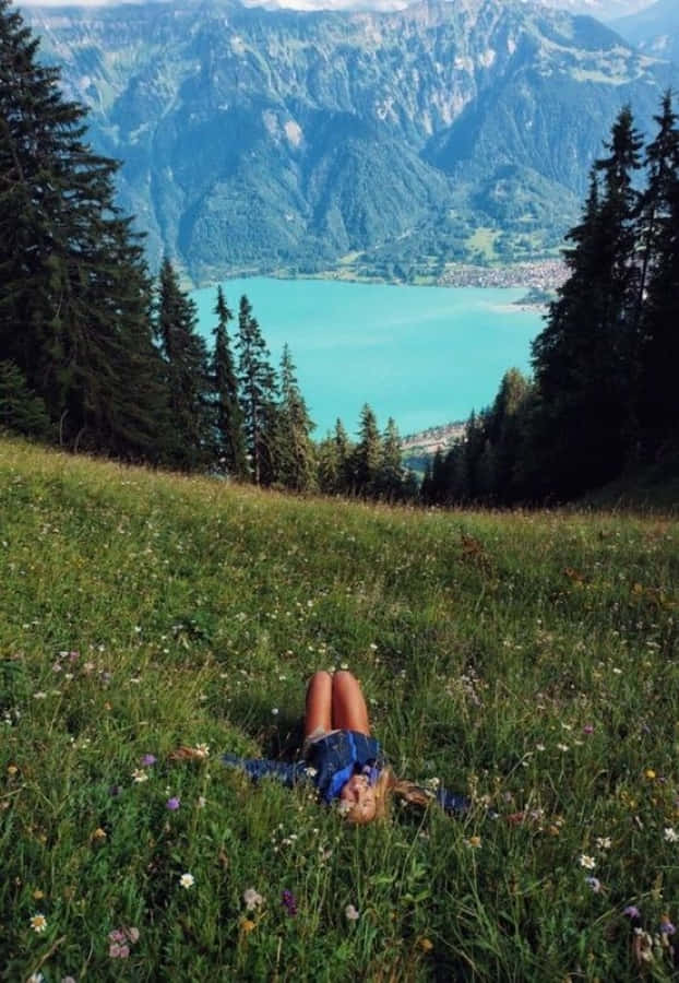 Serene Morning In A Peaceful Meadow Wallpaper