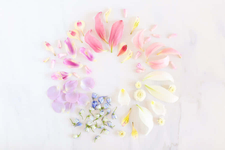 Serene Pastel-colored Spring Garden Wallpaper