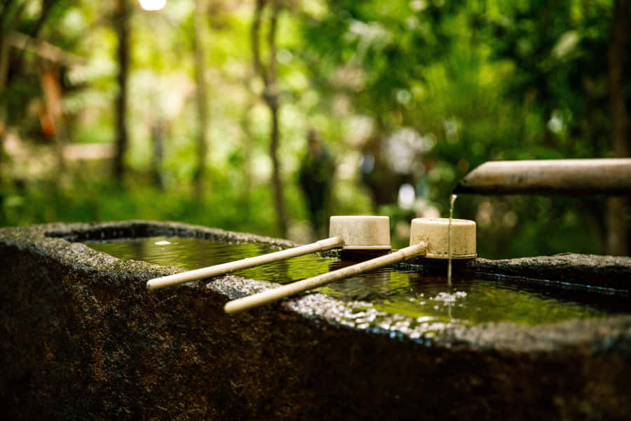 Serene Reiki Healing Session Wallpaper