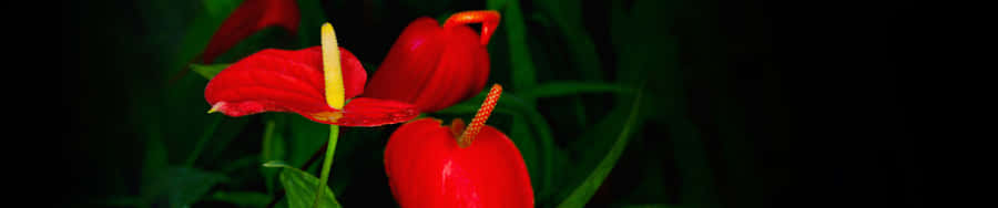 Serene Scenery Of A Lake Surrounded By Colorful Trees Wallpaper