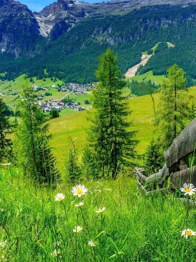 Serene Spring Mountain Landscape Wallpaper