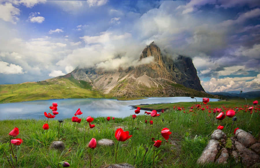 Serene Spring River Scenery Wallpaper