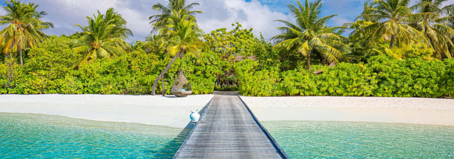 Serene Summer Sunrise At The Beach Wallpaper