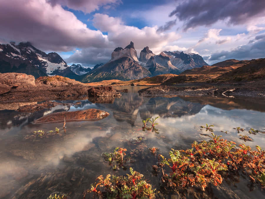 Serene Sunset Over An Exotic Beach Wallpaper