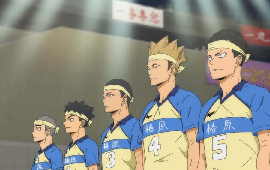 Serene Tsubakihara Landscape Wallpaper