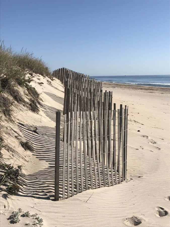 Serene Winter Beach Escape Wallpaper