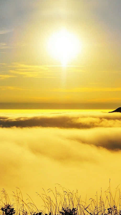 Serene Yellow Sunset Wallpaper