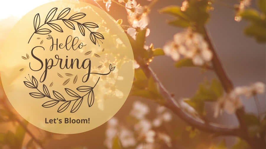 Serene Zen Bedroom With Earthy Accents Wallpaper