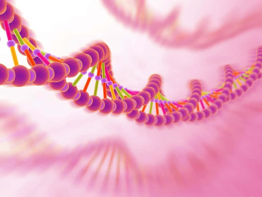 Serene Zen-inspired Therapeutic Desktop Wallpaper