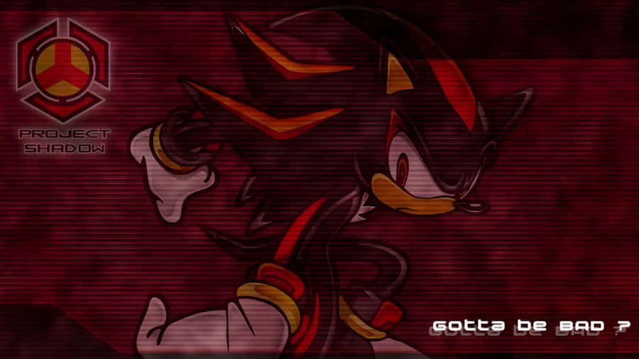 Shadow The Hedgehog Action Wallpaper