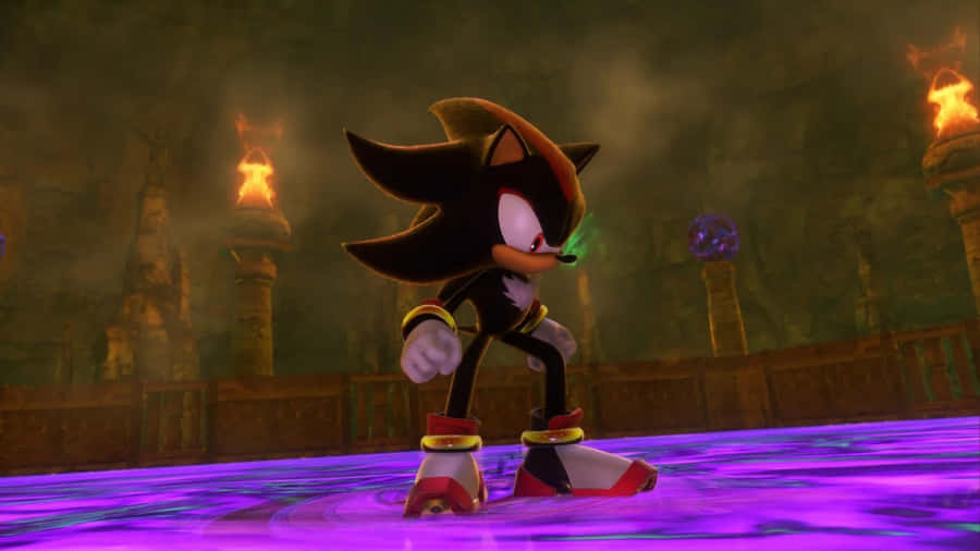 Shadow The Hedgehog Battle Wallpaper