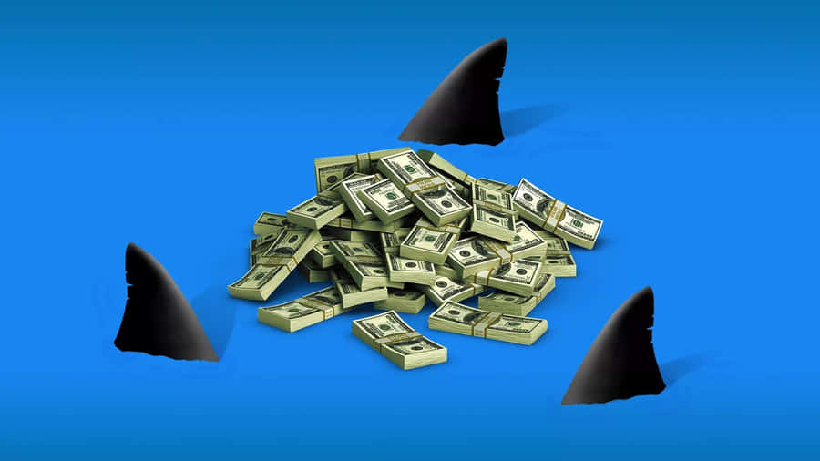 Shark Tank Investment Risks Wallpaper