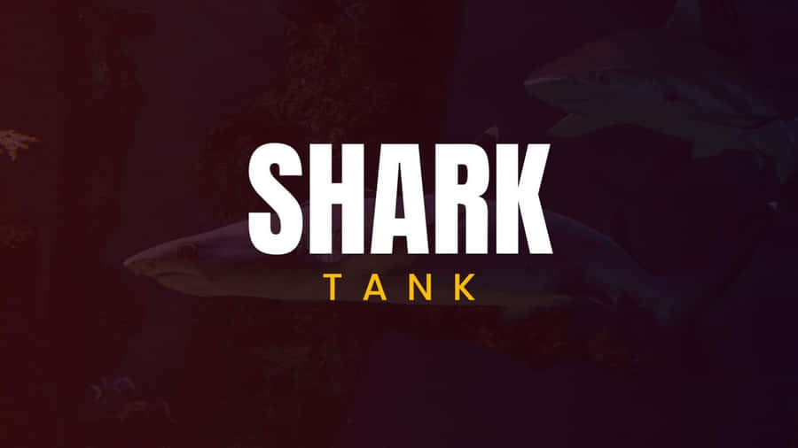Shark Tank Logo Wallpaper
