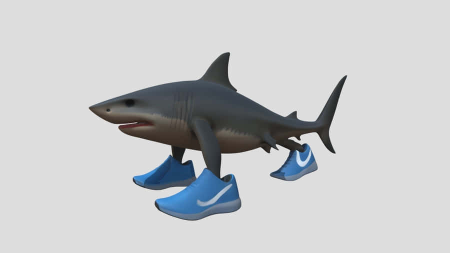 Shark Wearing Blue Sneakers Wallpaper