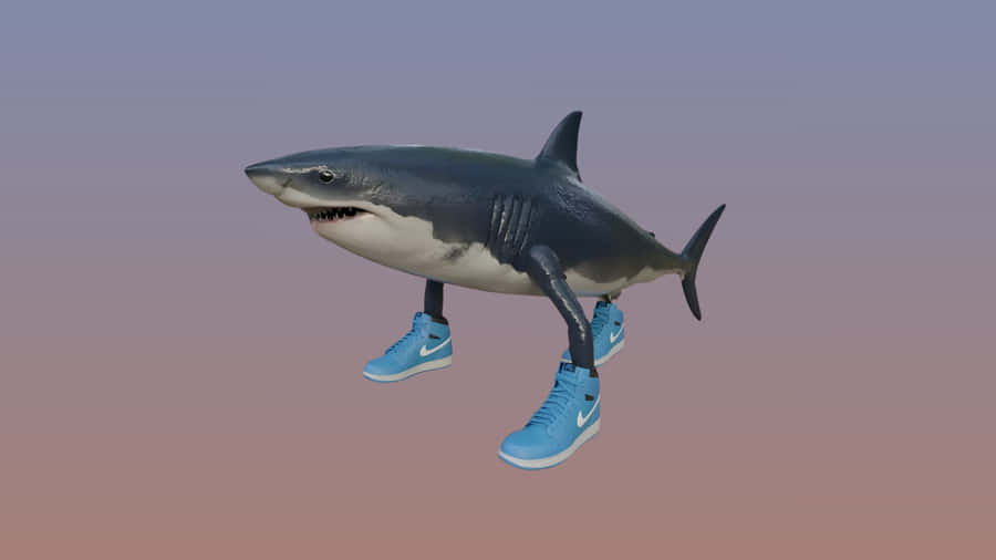 Shark Wearing Blue Sneakers Wallpaper