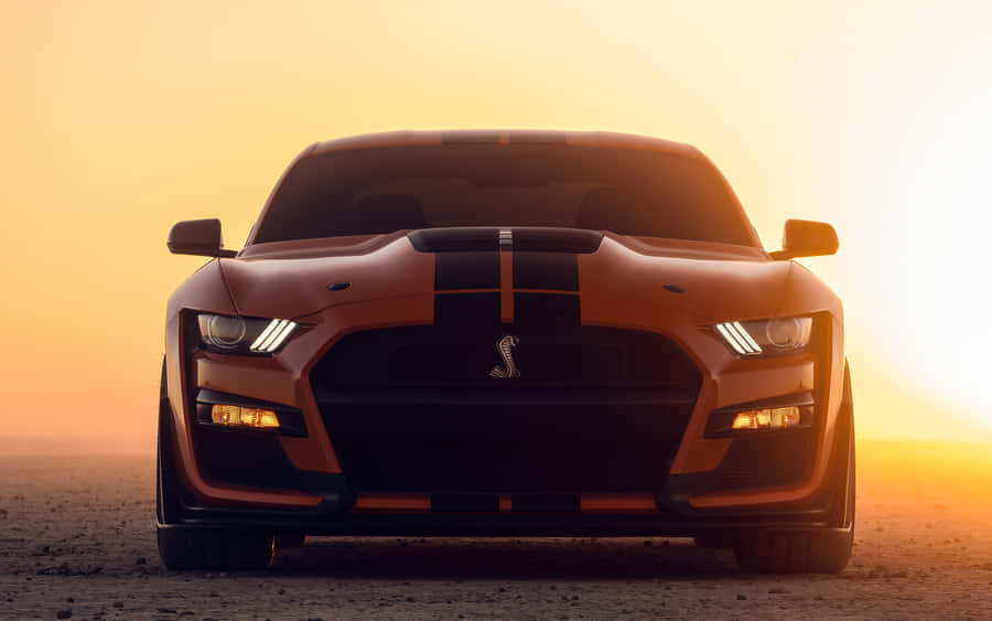 Shelby G T500 Sunset Silhouette Wallpaper