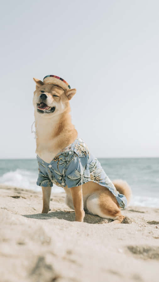 Shiba Inu Beach Style Wallpaper