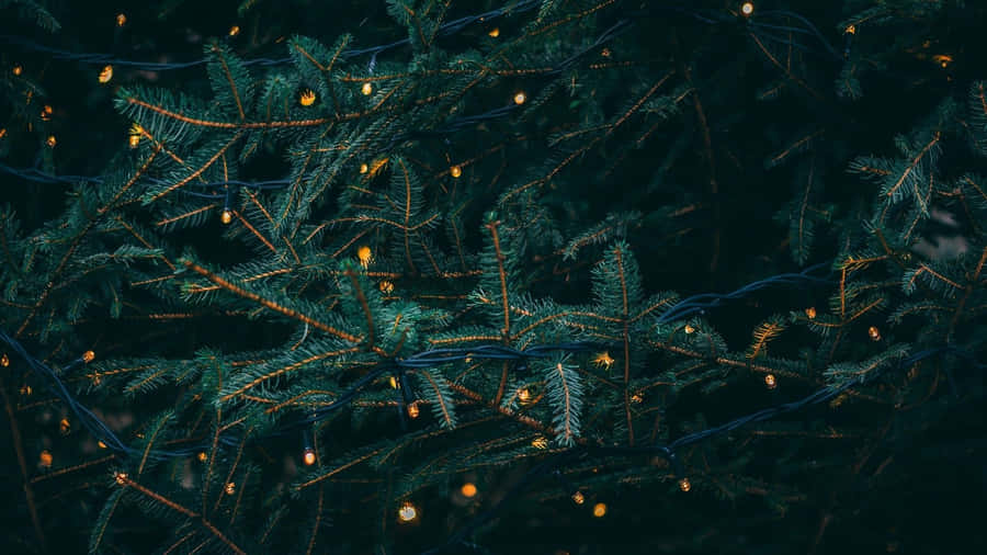 Shimmering Christmas Aesthetic Computer Desktop Background Wallpaper
