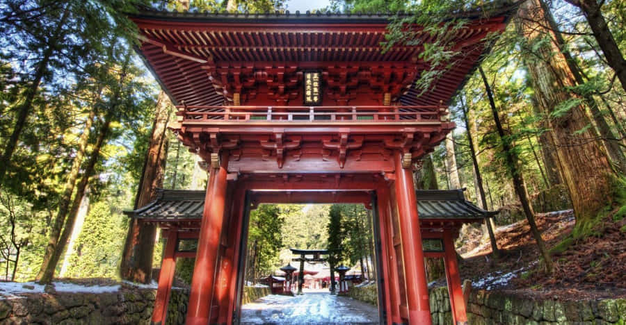 Shinto Shrine Surrounded By Nature Wallpaper