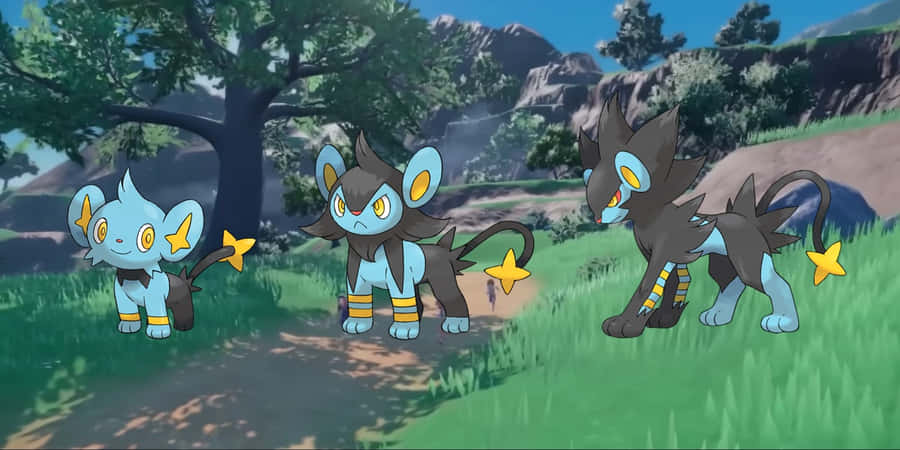 Shinx Luxio Luxray Out In Nature Wallpaper