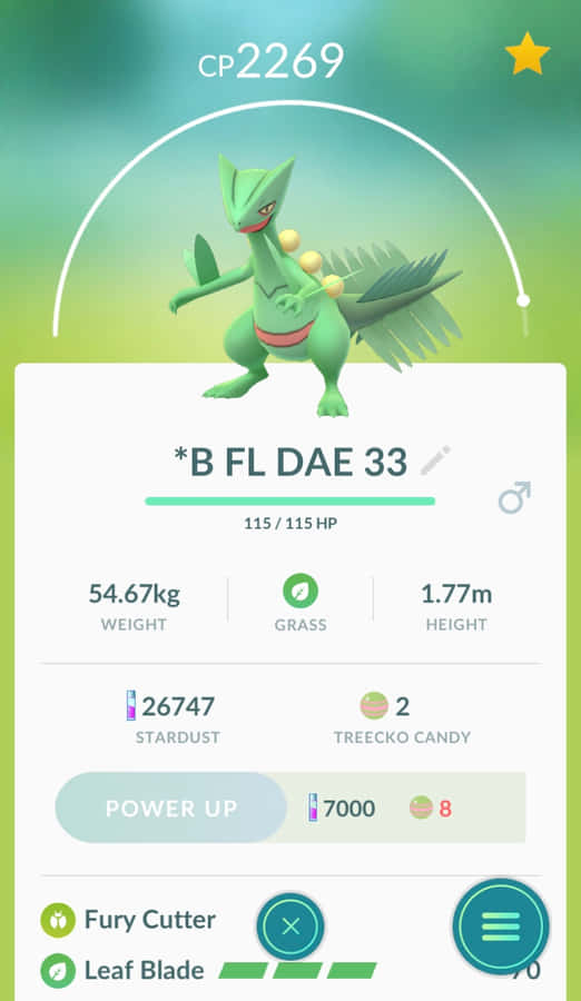 Shiny Sceptile Pokemon G O Stats Wallpaper