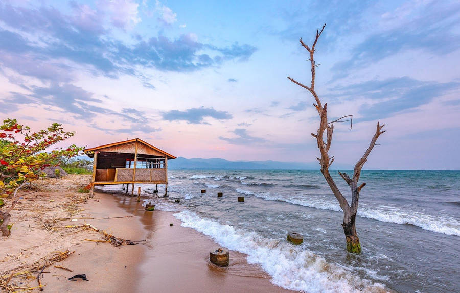 Shoreline Of Burundi With Clear Water Wallpaper